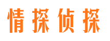 梅里斯市婚外情调查